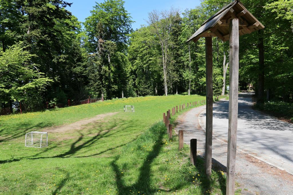 อพาร์ตโฮเต็ล สเนซนา คราลิจา Aparthotel Stubicke Toplice ภายนอก รูปภาพ